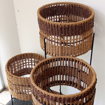 Título-primario-_5_